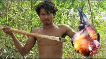 Primitive Technology - Shoot Quail by a bow in Forest - grilled wild bird eating delicious