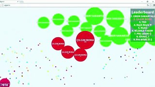 Agar.io - Playing on a Small Server