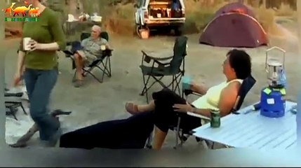 On a hair from death. Elephant has attacked tourists and has crushed the camp / Unique shots