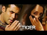 Salman Khan's TIGER ZINDA HAI Shooting Starts After TUBELIGHT