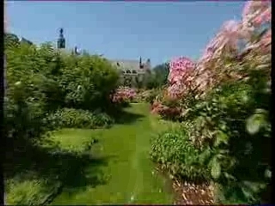 Plantes 2