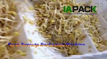 Bean sprouts packaging machine