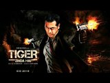 Salman Khan's Tiger Zinda Hai Movie POSTER - Fan Made