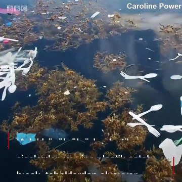 Okyanus üzerinde yüzen 'Plastik Adası'