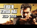 Salman Khan To Play 70 YEAR OLD In Tiger Zinda Hai