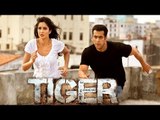 Katrina Kaif To Perform Deadly Action Scenes In Salman's Tiger Zinda Hai