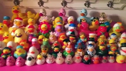 Rubber Duck Collection!