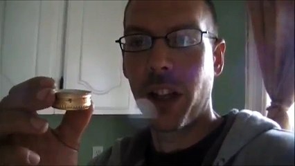 TIME LAPSE Homemade Ant killer borax and sugar