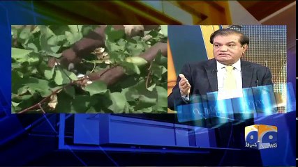 Geo Bulletin - 12 PM - 26 April 2018