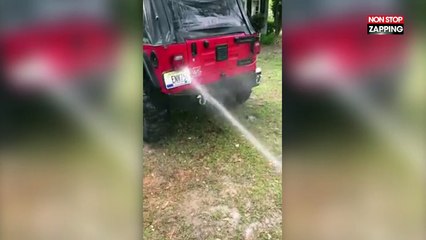Ce chien ne veut pas laisser son maître nettoyer sa voiture (Vidéo)
