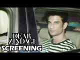 Sushant Singh Rajput At Shahrukh-Alia's Dear Zindagi Screening