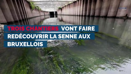 Faire redécouvrir la Senne aux Bruxellois