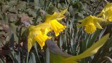 WEATHER: Your latest local forecast