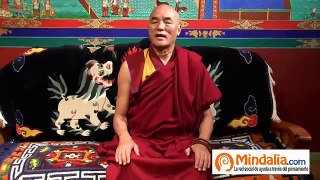 ¿Para qué sirve la meditación?, por el Lama Thubten Wangchen