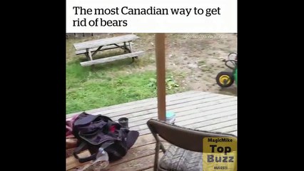 Did you know that wild bear in your yard perfectly understands English