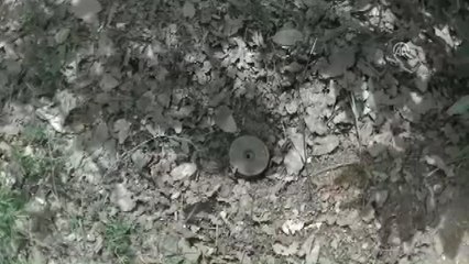 Yol Kenarına Tuzaklanan Patlayıcı İmha Edildi