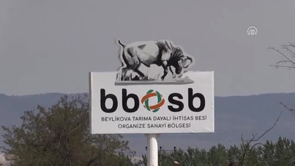 Beylikova Besi Osb "Ucuz Et"E Katkı Sunacak