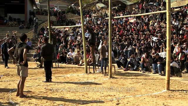Naga boy kicks hard and falls on his head at meat-kicking competition