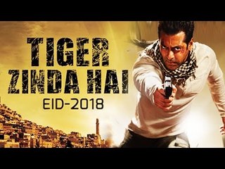 Salman Khan's Tiger Zinda Hai To Releases On Eid 2018?