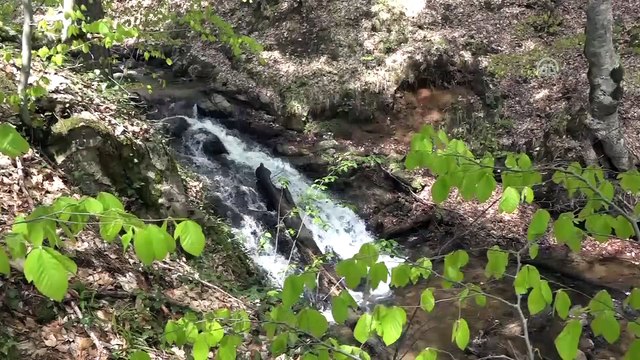 Domaniç Dağları'nda ilkbahar - KÜTAHYA