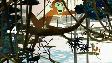 Bande-annonce de "Une saison au zoo"