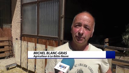Hautes-Alpes : le moment de sortir les animaux des étables