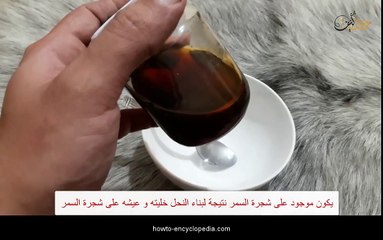 كيفية معرفة العسل الاصلي الغير مغشوش