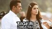 Tiger Zinda Hai ON LOCATION Morocco - Salman Khan, Katrina Kaif