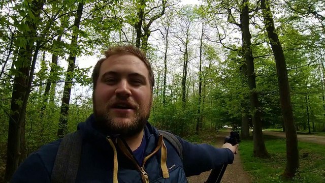 Forêt Domaniale de Montmorency