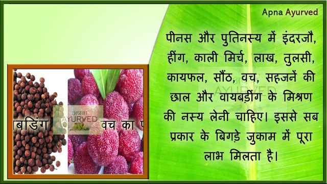 Ayurvedic & Home remedies Cure of Common Cold || जुकाम का तुरंत घरेलू इलाज || Apna Ayurved