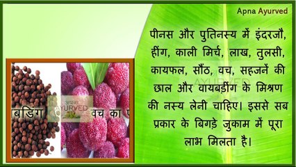 Ayurvedic & Home remedies Cure of Common Cold || जुकाम का तुरंत घरेलू इलाज || Apna Ayurved