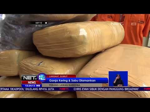 Polisi Amankan 96 Kilogram Ganja Kering - NET 12