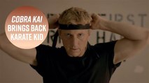 'Cobra Kai' is the Karate Kid sequal you've dreamed of