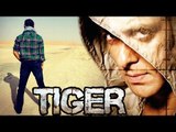 Salman Khan's Tiger Zinda Hai ON LOCATION Morocco