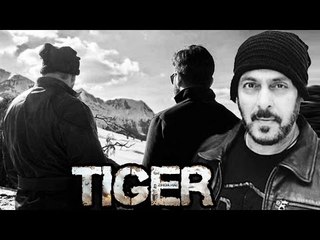 Salman Khan Wraps - Up The First Schedule Of Tiger Zinda Hai