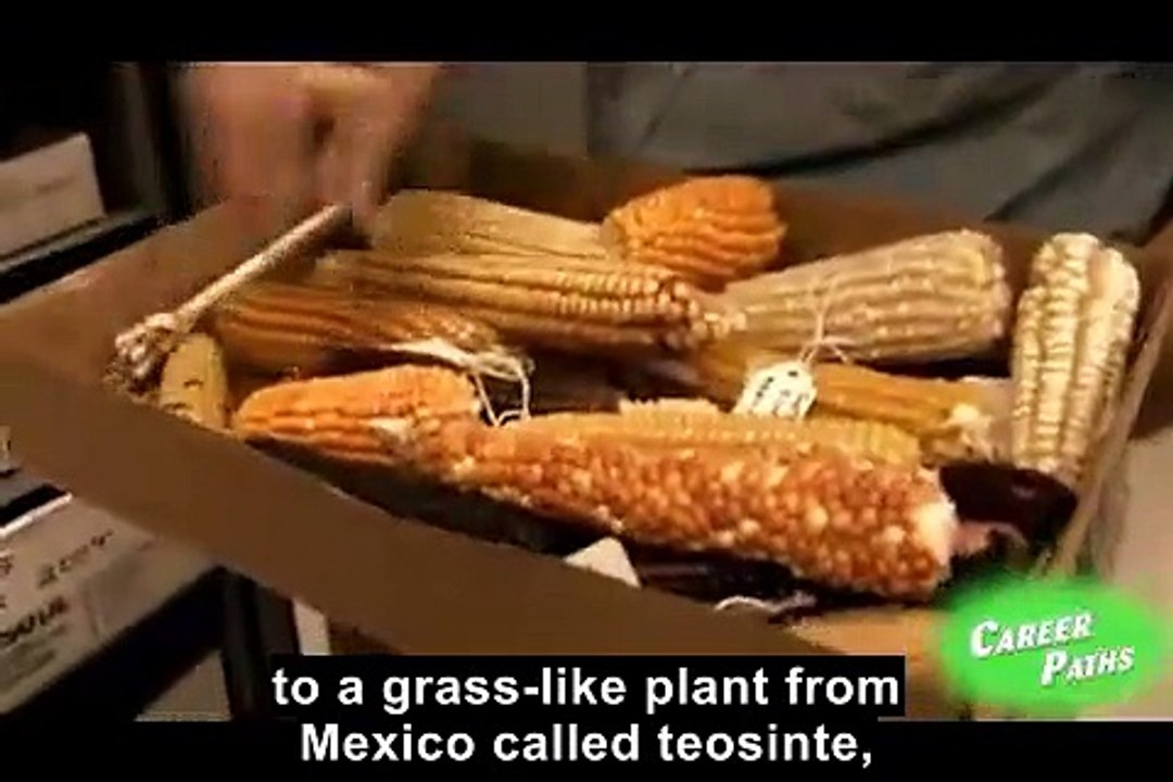 B2U08_GrainsAndLegumes_srt