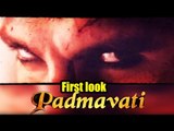 Ranveer Singh As Alauddin Khilji | FIRST LOOK REVEALED | Padmavati