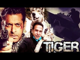 Salman's ACTION SCENE Video Goes Viral Tiger Zinda Hai, Wolves On The Sets