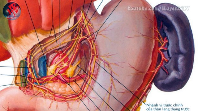 Vì sao người xưa dùng Kinh Dịch dự đoán vận mệnh vô cùng chính xác?