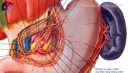 Vì sao người xưa dùng Kinh Dịch dự đoán vận mệnh vô cùng  chính xác?