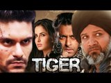 Kumud Mishra & Angad Bedi Shoots In Abu Dhabi For Salman's Tiger Zinda Hai