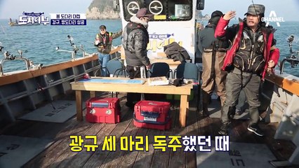 기적의 쌍칼 입질 강림!! 궁극의 일심동체력