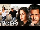 Tiger Zinda Hai Will Be Challenging For Salman Khan-Katrina Kaif!