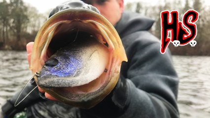 Hook Shots: The Cape Cod Largemouth Saga