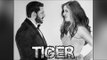Salman & Katrina Kaif's TIGER ZINDA HAI Poster - FAN Made Goes Viral