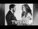 Salman & Katrina Kaif's TIGER ZINDA HAI Poster - FAN Made Goes Viral