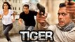Salman Khan & Katrina Kaif's Tiger Zinda Hai | 5 Exciting Facts