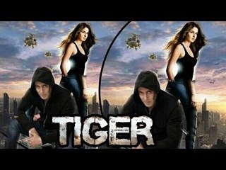 Salman & Katrina Kaif's TIGER ZINDA HAI Poster - FAN Made Goes Viral | Ek Tha Tiger Sequel