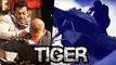Salman Khan's LEAKED ACTION SCENE From Tiger Zinda Hai