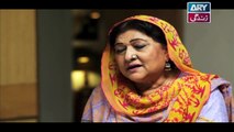 Mein Mehru Hoon Ep 114 & 115 - on ARY Zindagi in High Quality 26th April 2018